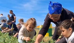 Lecţie în câmp pentru zeci de copii. Producător: "Am vrut să vadă că mazărea nu creşte în borcan, în magazin"