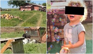 "Era îngrijit, era vesel". Filmul tragediei din Buzău, unde Teo a fost sfâşiat de un câine de la stână