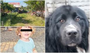 Mama lui Teo și stăpânul câinelui ciobănesc, anchetați pentru neglijență și ucidere din culpă