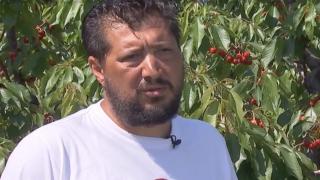 Cum a reușit Bogdan să transforme un eșec total într-o afacere de succes. Clienții vin și din alte orașe