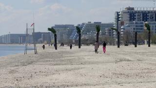 Stațiunile de pe litoral care vor avea perdele verzi pentru umbră și răcoare. Peste 200 de copaci plantaţi