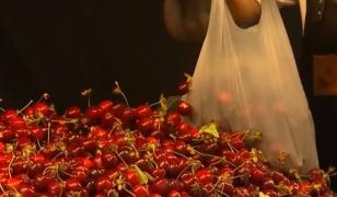 A început sezonul cireşelor: "Pregătim o dulceață de cireșe după rețeta bunicii"