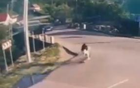 Momentul în care două fete din Sălaj, pe trotinetă, sunt spulberate de o maşină. Şoferul avea prioritate