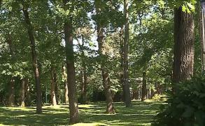 Bărbat înjunghiat într-un parc din Târgu Mureș. Se certase cu agresorul pentru un apartament