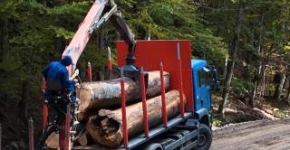 Camerele care monitorizează transporturile de lemn, vandalizate. Ministerul Mediului a făcut plângere penală