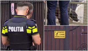 Cum a fost atacat copilul de 2 ani de câinele Amstaff al unei rude. Băiatul este în stare gravă