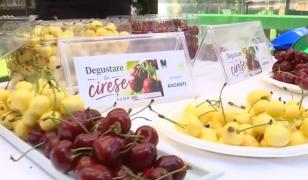 Cea mai dulce competiţie. Care sunt cireşele vedetă ale sezonului