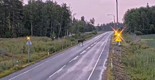 Finlanda a făcut 
