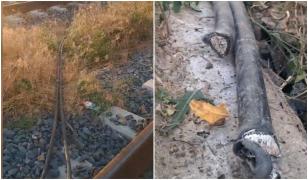 Circulaţia feroviară, pusă în pericol de hoţi. Au fost prinşi încercând să fure cabluri la staţia CFR Năvodari