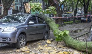 Vremea, la extreme. Furtunile au rupt copaci, în Vaslui un om a murit din cauza caniculei