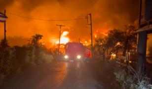 Incendiile de vegetaţie se extind în Europa: 