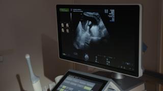 Spina bifidă și hidrocefalia la bebeluși: cum pot fi diagnosticate înainte de naștere