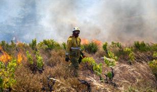Un pompier din Franţa a murit strivit de un bloc masiv de piatră, în timp ce încerca să stingă un incendiu
