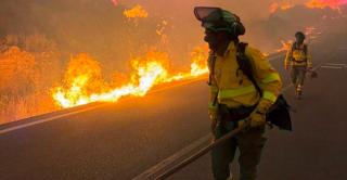 Incendiu devastator în Spania. Cel puțin 11 oameni au murit, iar peste 1.400 au fost evacuați