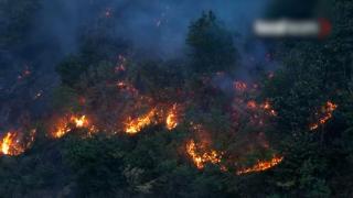 Incendii devastatoare în Franța, Italia și Spania. Sute de oameni au fost evacuați