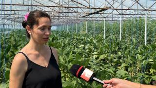 Produsele care s-au ieftinit şi cu 40%: 