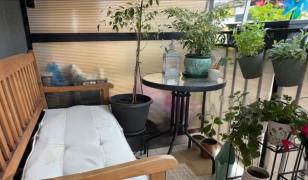 Balconul, noua oază de relaxare a românilor. Cum îl transformi cu doar câteva sute de lei