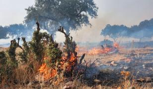 Incendii istorice în sudul Europei. Avertizare MAE pentru românii care călătoresc în Spania