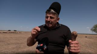 Ciobanii se revoltă după ce au aflat că le-ar putea fi vaccinate oile. 