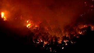 Corespondenţă Observator din Castellon. Cum văd românii de acolo incendiile devastatoare din Spania