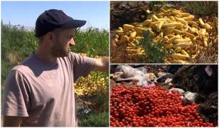 Cu o recoltă bogată, fermierii aruncă tone de legume la gunoi. "Nu s-a vândut"