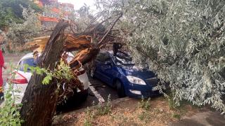 Canicula lasă locul fenomenelor extreme: furtunile au făcut primele victime în ţară