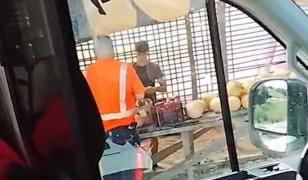 Ambulanţieri acuzaţi că au oprit să cumpere pepene în timpul unei intervenţii, în Bacău