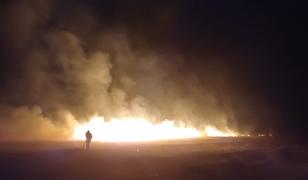 A vrut să scape de buruieni şi a provocat un incendiu de proporţii. Zece hectare, mistuite la Iaşi