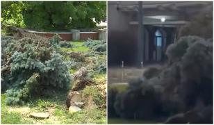 Oraşul din România măturat de vijelie. Oamenii s-au baricadat în case, vântul a smuls copaci şi acoperişuri