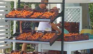 Fructul care duce România în topul producătorilor din UE. Cu cât se vinde un kilogram