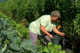 Rețeta inedită cu care Liliana a dat lovitura: "A fost surprinzător de bună"