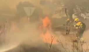 Cea mai caldă vară din istorie. Incendii violente de vegetaţie afectează Spania, Grecia şi Italia