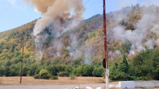 Alertă în Caraș-Severin după un incendiu de vegetație, 15 hectare afectate. Focul a pornit de la un trăsnet