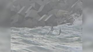 Drona găsită în mare lângă stabilopozi, la Costinești, nu avea explozibil. A fost ridicată de Paza de Coastă