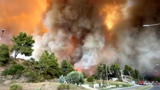 Noi incendii în Grecia, în plin sezon turistic. Sute de oameni au fost evacuaţi din Halkidiki