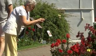 Locul din România care a devenit magnet pentru turiști. Ce îi cucerește în plină vară