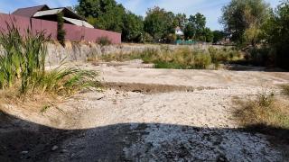 Seceta face prăpăd în vestul ţării: râurile s-au transformat în simple poteci