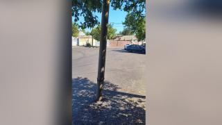 Dorel de la Brăila a uitat stâlpul în drum. Lucrare de asfaltare cu surpriză la final pentru locuitori