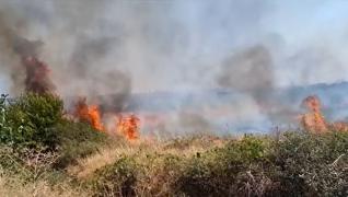 Incendii de vegetaţie în Mehedinţi. Flăcările au mistuit două hectare de teren
