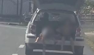 Gorjean, filmat în timp ce transporta doi copii în portbagajul maşinii cu capota ridicată. Ce amendă a primit