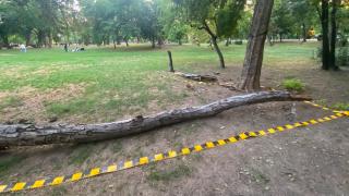 Antonia, încă în stare gravă după accidentul cumplit din Cișmigiu. Părinții vor să dea Primăria în judecată