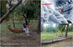 ANIMAŢIE. Tânăra strivită de copac în Parcul Cişmigiu ar putea rămâne paralizată