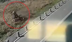 Momentul în care un motociclist se răstoarnă pe câmp, cu poliția pe urme. S-a ales cu dosar penal