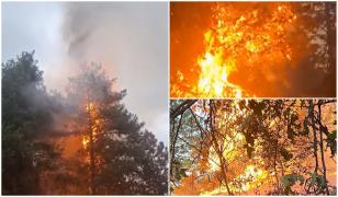 Incendiu uriaş în Hunedoara. Flăcările au mistuit 15 hectare, iar fumul dens a blocat DN 66