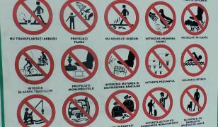 Semne uitate în parcurile din Bucureşti: interzis păşunatul sau spălatul maşinii