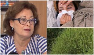 Alergia la ambrozie îți poate dicta ce pui în farfurie. Medicii recomandă să evitaţi următoarele alimente
