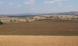 Cultura care trebuia să salveze anul agricultorilor, lovită de secetă. Fermierii nu pot începe semănatul