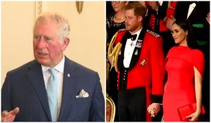Harry și Meghan, fără atribuții oficiale în Regatul Unit. Decizia anunțată de Regele Charles