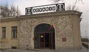 Acvariul din Constanţa a rămas o amintire. Peştii au fost mutaţi la Delfinariu. Când va fi gata noul spaţiu