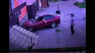 Momentul în care o pisică "fură" o maşină şi face accident. Imaginile au devenit rapid virale